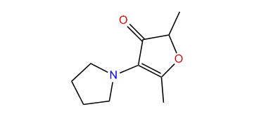 2,5-Dimethyl-4-(1-pyrrolidinyl)-3(2H)-furanone