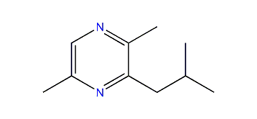 2,5-Dimethyl-3-isobutylpyrazine