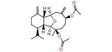 3,6-Diacetylcladiellisin