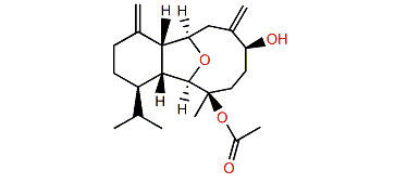 3-Acetylcladiellisin