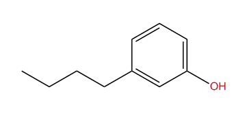 3-Butylphenol