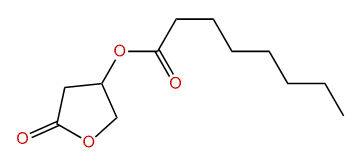 3-Octanoyloxy-4-butanolide