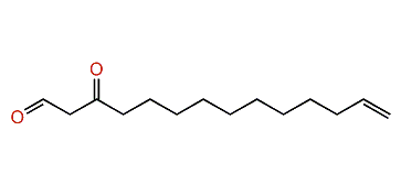 3-oxo-13-Tetradecenal