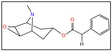 3-Phenylacetoxy-6,7-epoxytropane
