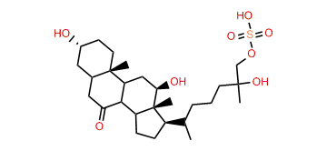 3a,12b,25,26-Tetrahydroxy-7-oxo-5b-cholestane-26-O-sulfate