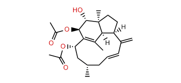 3alpha,14alpha-Diacetoxy-2beta-hydroxy-1(15),8(19),9-trinervitatriene