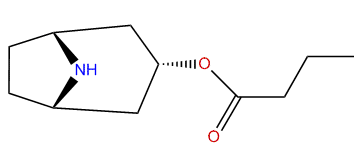 3alpha-N-Butyroxynortropane