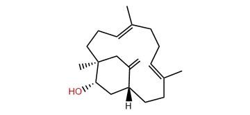 3alpha-Hydroxy-7,16-secotrinervita-7,11,15(17)-triene