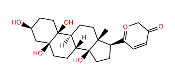 (3b,5b,14b)-3,5,10,14-Tetrahydroxyl-19-norbufa-20,22-dienolide