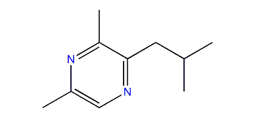 3,5-Dimethyl-2-isobutylpyrazine