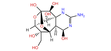 4-Epitetrodotoxin