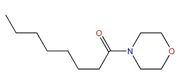 4-Octanoylmorpholine