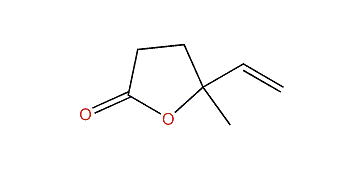 4-Methyl-5-hexen-4-olide