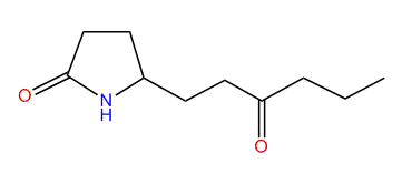 5-(3-Oxohexyl)-pyrrolidin-2-one