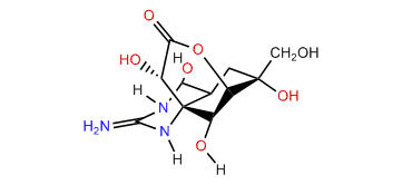 5-Deoxytetrodotoxin