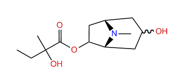 6-(2-Hydroxy-2-methylbutyroxy)-tropan-3-ol
