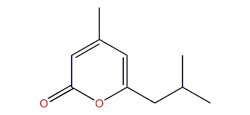 4-Methyl-6-isobutylpyran-2-one