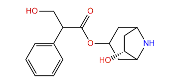 (6R)-Hydroxynorhyoscyamine