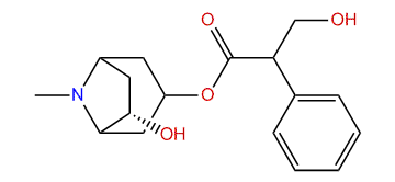 (6S)-Hydroxyhyoscyamine