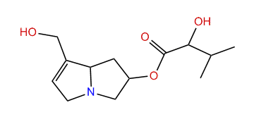 7-(2-Hydroxy-3-methylbutyryl)-retronecine