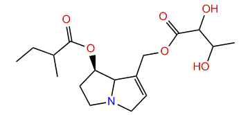 7-(2-Methylbutyryl)-9-(2,3-dihydroxybutyryl)-retronecine