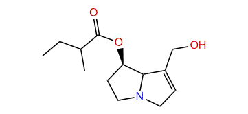 7-(2-Methylbutyryl)-retronecine