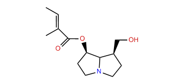 7-Tigloylplatynecine