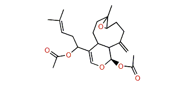 9-Deacetoxy-14,15-deepoxy-7,8-epoxyxeniculin