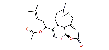 9-Deacetoxy-14,15-deepoxyxeniculin