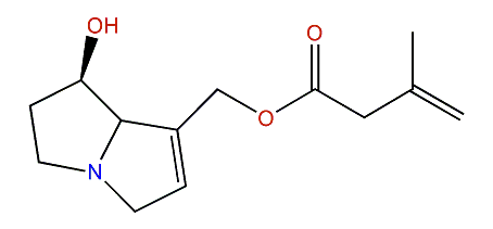 9-Isosenecioylretronecine
