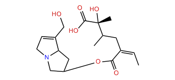 9-Senicioylheliotridine