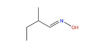 (E)-2-Methylbutylaldoxime