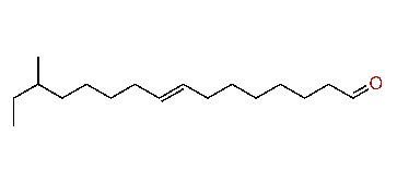 (E)-14-Methyl-8-hexadecenal