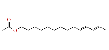 (E,E)-10,12-Tetradecadienyl acetate