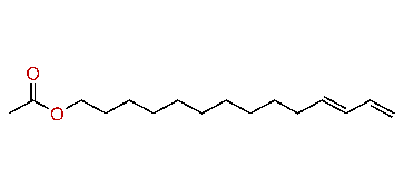 (E)-11,13-Tetradecadienyl acetate