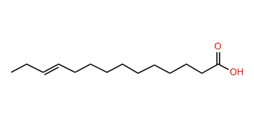 (E)-11-Tetradecenoic acid
