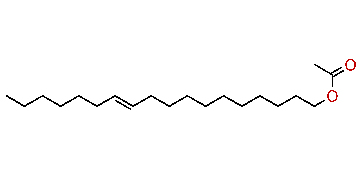 (E)-11-Octadecenyl acetate