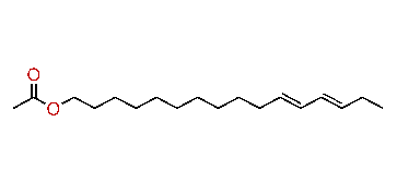 (E,E)-11,13-Hexadecadienyl acetate