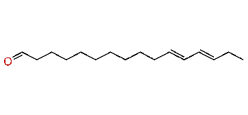 (E,E)-11,13-Hexadecadienal