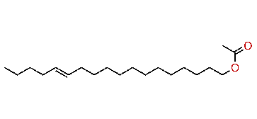 (E)-13-Octadecenyl acetate