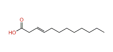 (E)-3-Dodecenoic acid