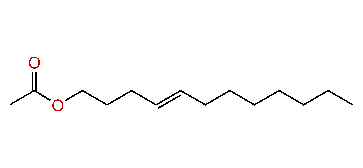 (E)-4-Dodecenyl acetate