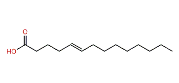 (E)-5-Tetradecenoic acid