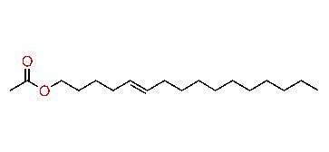 (E)-5-Hexadecenyl acetate