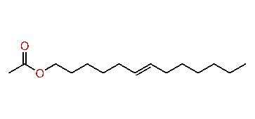 (E)-6-Tridecenyl acetate