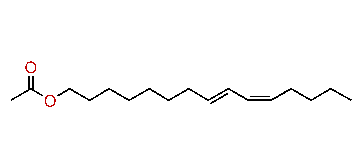 (E,Z)-8,10-Pentadecadienyl acetate