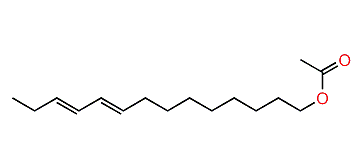(E)-9,11-Tetradecadienyl acetate