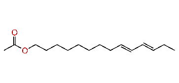 (E,E)-9,11-Tetradecadienyl acetate