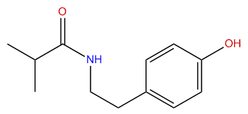 N-(4-Hydroxyphenethyl)-isobutyramide