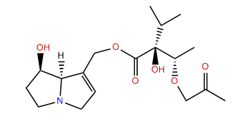 O3-Propionyllycopsamine